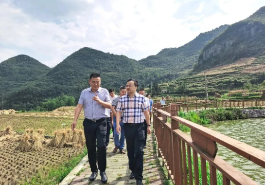畢節(jié)工業(yè)職業(yè)技術(shù)學(xué)院黨委書記李涌、院長(zhǎng)邱國(guó)援率隊(duì)到鄉(xiāng)村振興駐村聯(lián)系工作點(diǎn)調(diào)研